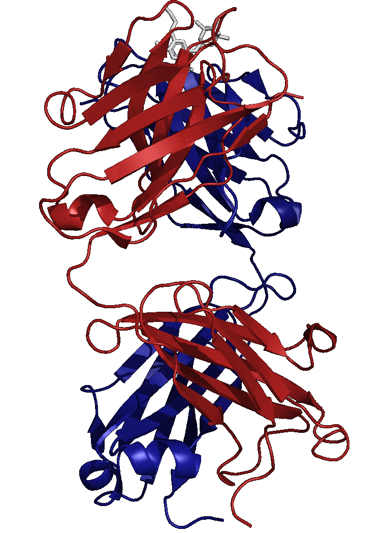 rotatingMolecule rotatingMolecule
