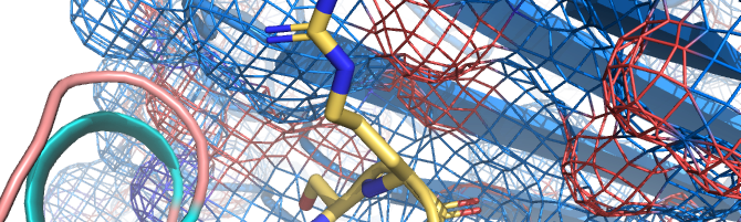 Designer Antibodies