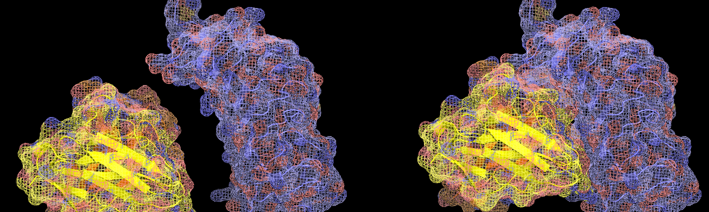 Protein-Protein Docking