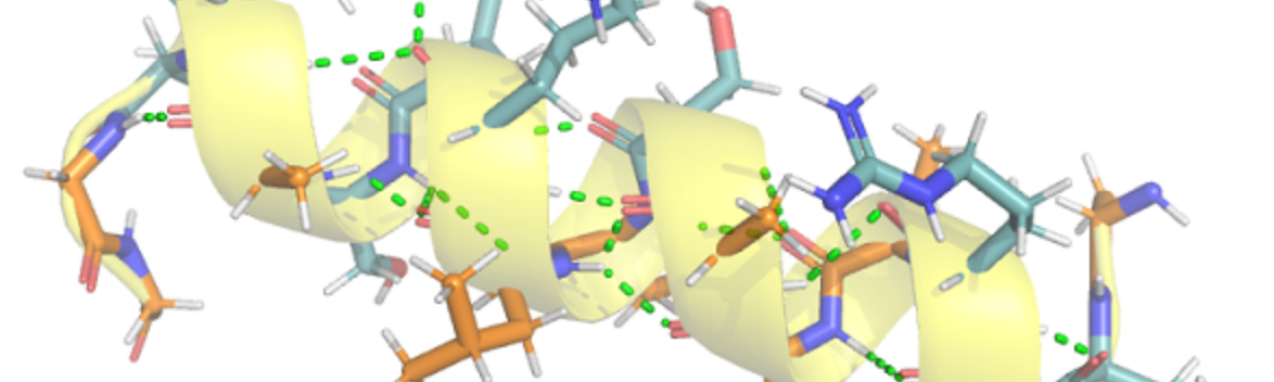 What is a Protein Made of?